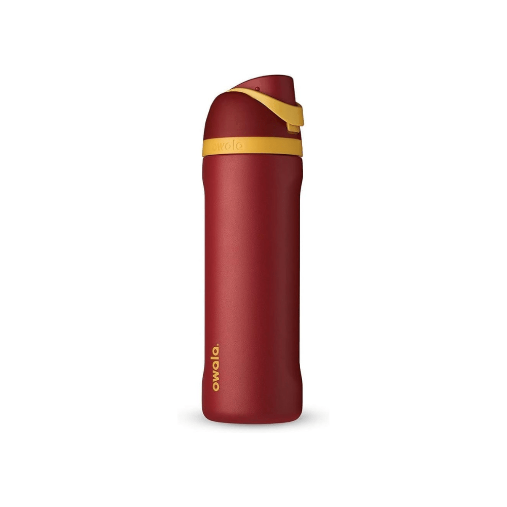 Owala 24 oz 710 ml Harry Potter FreeSip Insulated Stainless Steel Water Bottle, Gryffindor Red - BusDeals