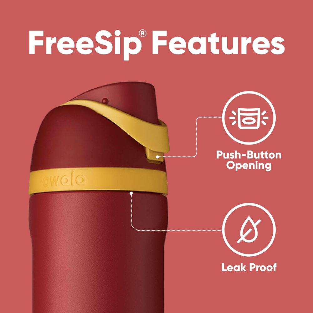 Owala 24 oz 710 ml Harry Potter FreeSip Insulated Stainless Steel Water Bottle, Gryffindor Red - BusDeals
