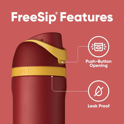 Owala 24 oz 710 ml Harry Potter FreeSip Insulated Stainless Steel Water Bottle, Gryffindor Red - BusDeals