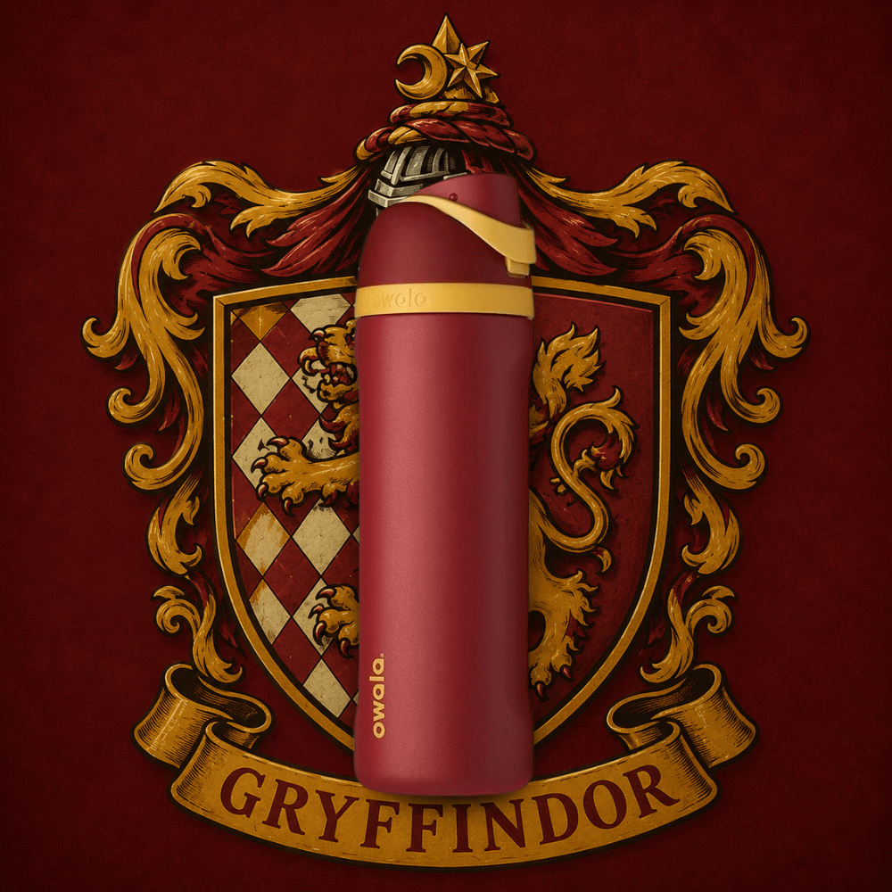 Owala 24 oz 710 ml Harry Potter FreeSip Insulated Stainless Steel Water Bottle, Gryffindor Red - BusDeals
